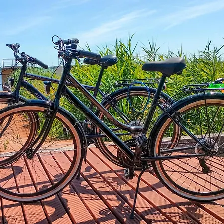 2 Bedroom Amazing In *